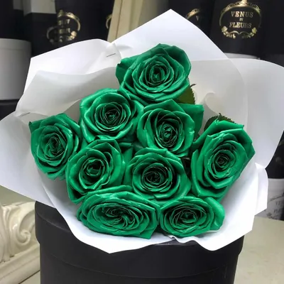 Букет темно-зеленых роз - 9 шт | Бесплатная доставка цветов по Москве