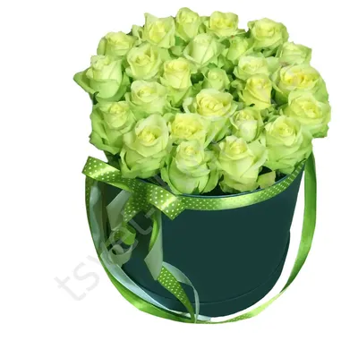 Букет из зеленых роз – купить с доставкой в Москве. Цена ниже!