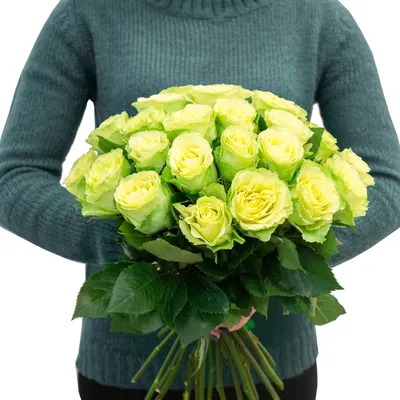 Букет 15 зеленых роз в бархатной коробке - Luxury Roses Спб