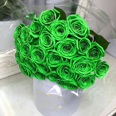 19 зеленых роз в букете | Бесплатная доставка цветов по Москве
