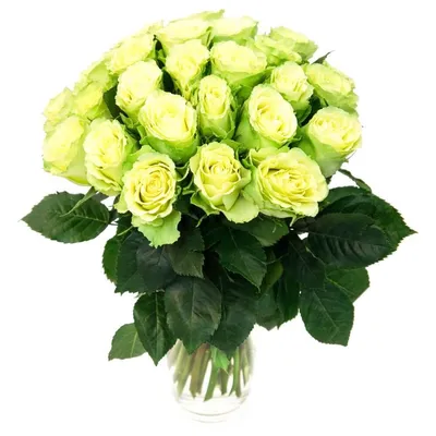 Букет зеленых роз | Бесплатная доставка цветов по Москве