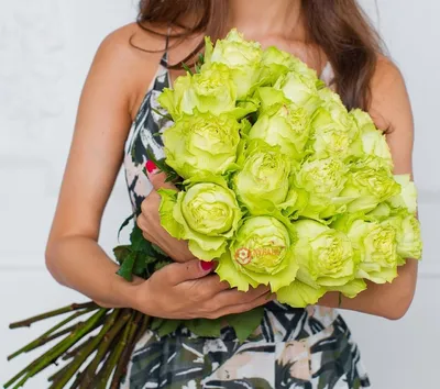 Букет зеленых роз как предпосылка Стоковое Фото - изображение насчитывающей  поднял, предложение: 43530572