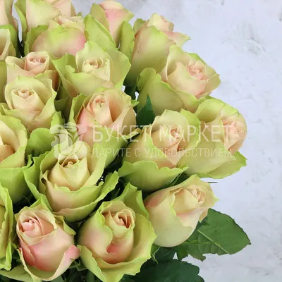 25 жёлтых, зелёных и белых роз по цене 6586 ₽ - купить в RoseMarkt с  доставкой по Санкт-Петербургу
