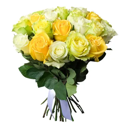 Букет из 25 зеленых роз - заказать и купить за 3 420 ₽ с доставкой в Москве  - партнер «Цветочный рынок»