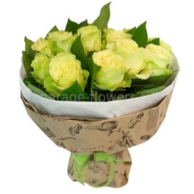 Монобукет из 35 бело-зелёных роз (Кения). Купить по цене 2700 руб.  Круглосуточная доставка букетов в СПб и Лен. обл.