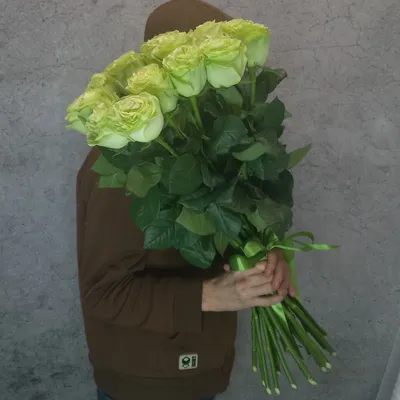 Букет зеленых роз на белой предпосылке Стоковое Фото - изображение  насчитывающей завод, изображение: 102012078