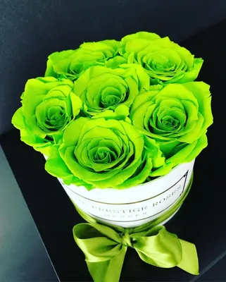 25 жёлтых, зелёных и белых роз по цене 6586 ₽ - купить в RoseMarkt с  доставкой по Санкт-Петербургу