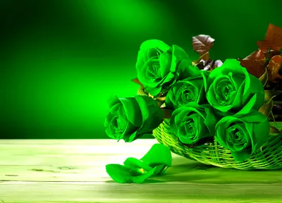 Фото Букет зеленых роз