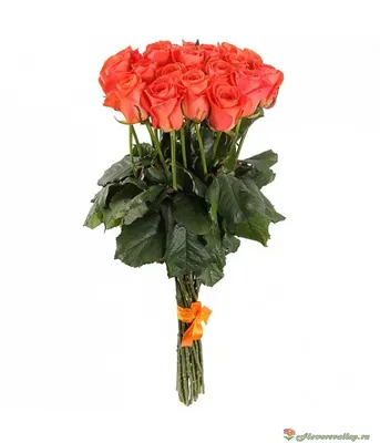 Букет из 21 розово-зеленых роз - купить цветы с доставкой по Москве и МО от  2690 руб | «Букет-Маркет»