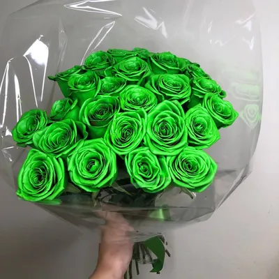 19 зеленых роз в букете | Бесплатная доставка цветов по Москве