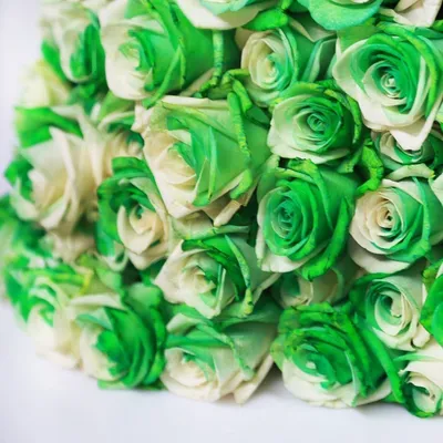 Букет 25 бело-зеленых роз (под заказ) купить с доставкой в СПб