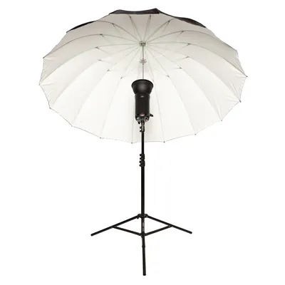 Зонт Slong белый на отражение, 180 см купить в Москве - цена 4990 руб в  интернет-магазине | Папарацци