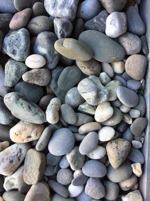 Камней морская галька фото