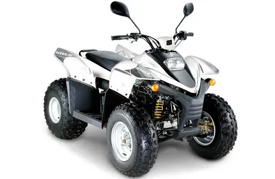 Квадроцикл STELS ATV 100RS купить ⋆ МотолигА