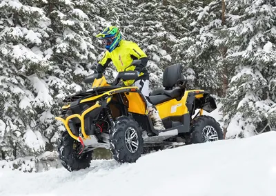 Квадроцикл STELS ATV 800G GUEPARD Trophy CVTech купить выгодно