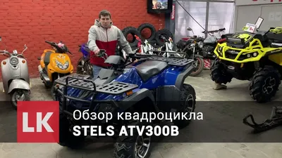 Обзор квадроцикла STELS ATV300B - YouTube