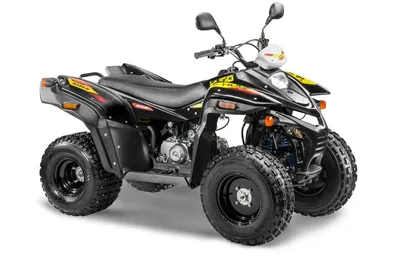 Детский квадроцикл Stels ATV 100RS - цена, описание, технические  характеристики, фото, отзывы