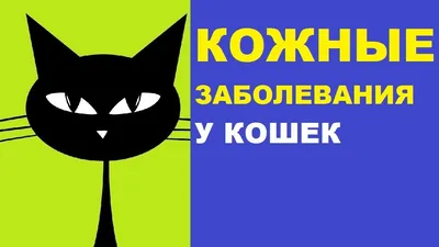 Костюм для восстановления котов для брюшных РАН, кожных заболеваний после  операции, жилет для домашних животных, защита от укусов, одежда для кошек -  купить по выгодной цене | AliExpress