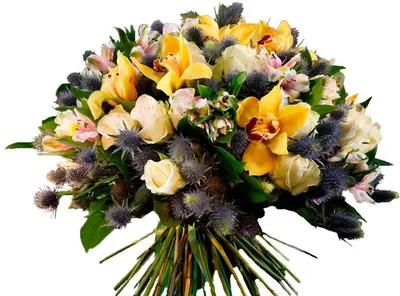 Букет цветов на День Рожденя начальника и директора | Новости |  Интернет-магазин орхидей и декоративных цветов в Москве. У нас вы можете  купить орхидеи с доставкой.