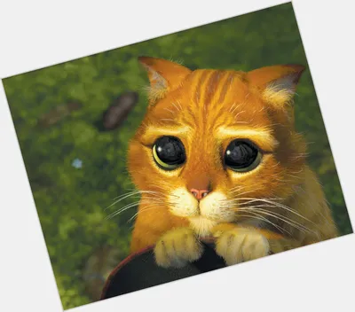 Кот в сапогах 2: Последнее желание» — восхитительный мультфильм, после  которого особенно ждёшь «Шрека 5» - Чемпионат