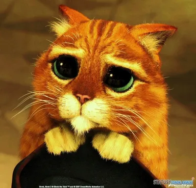 Создать мем \"кот шрека взгляд, кот из шрека с большими глазами, кот из шрека  с большими\" - Картинки - Meme-arsenal.com