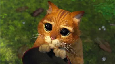 Создать мем \"кот, кот из шрека прости, плачущий кот из шрека\" - Картинки -  Meme-arsenal.com