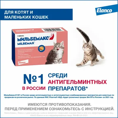 Elanco Мильбемакс таблетки от глистов для котят и молодых кошек (2  таблетки) | Купить в Москве