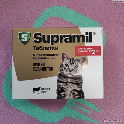 Антигельминтики Астрафарм Лекарственный препарат Supramil таблетки для  кошек и собак - «Таблетки от глистов для кошек Супрамил. Доступный аналог  дорогущего препарата. » | отзывы