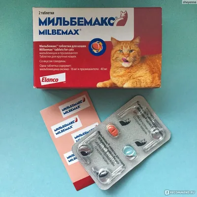 Антигельминтики Elanco Мильбемакс (MILBEMAX) - «Это они – идеальные  таблетки от глистов. Эффективность, легкость применения, отсутствие  побочных эффектов. Выручают нас уже долгое время.» | отзывы