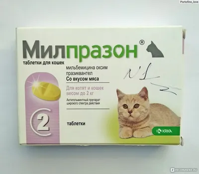 Противопаразитарные средства KRKA Милпразон - «Эффективное лекарство при  лёгочных глистах у кошки» | отзывы