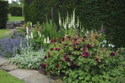 Дизайн палисадника перед домом своими руками, фото красивых палисадников |  Garden inspiration, Garden shrubs, Beautiful gardens