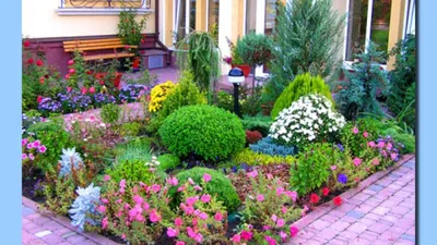 Красивые палисадники перед домом: планировка, дизайн, выбор растений и  интересные идеи