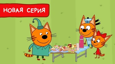 Продам крутого кота Сфінкс: 6 500 грн. - Кошки Белая Церковь на Olx