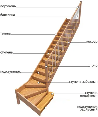 Что учесть при выборе лестницы для дома и квартиры?