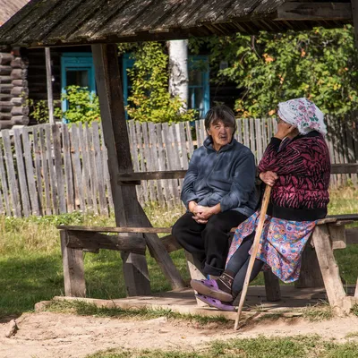 Картина «Лето в деревне». Размер: 24x36 (см). Художник Dmitry Des - Купить  онлайн с доставкой в онлайн-галерее Artcenter.by