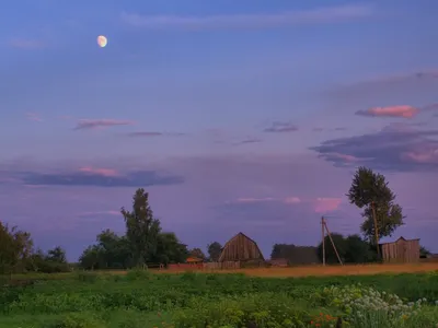 Лето в деревне | Пикабу