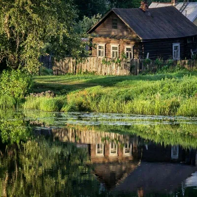 Обои на рабочий стол: Плантация, Поле, Природа, Япония, Деревня, Лето -  скачать картинку на ПК бесплатно № 50664