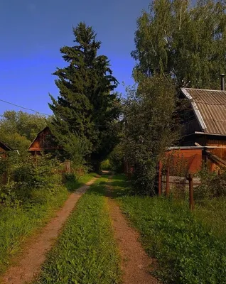 Фото русская деревня, река, домики - Лето - Фото галерея - Галерейка