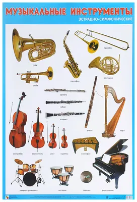 Плакат Музыкальные Инструменты Эстрадно-Симфонического Оркестра - купить  подготовки к школе в интернет-магазинах, цены в Москве на СберМегаМаркет