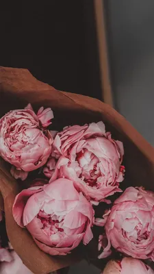 обои | цветы | пионы | wallpaper | flowers | peonies | Peony wallpaper,  Flower backgrounds, Flower background wallpaper