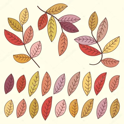 Природа, Поле, Деревья, Береза, Осень, пейзаж, лес, золотая осень, осенние  листья, осенний лес