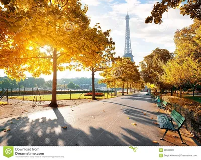 Солнечное утро в Париже в осени Стоковое Изображение - изображение  насчитывающей ð³oñ€oð, ð½ð¸ðº: 98506789
