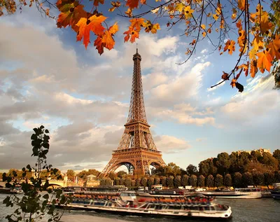 Фото Париж Эйфелева башня Франция осенние город