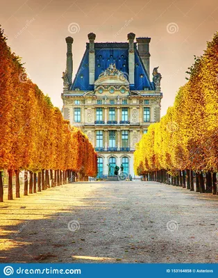 Осень в Париже Лувр редакционное стоковое фото. изображение насчитывающей  франция - 153164858