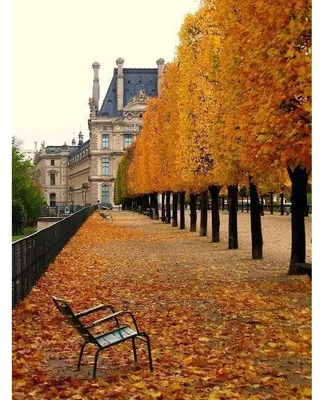фотосъемка осень в париже — Яндекс: нашлось 3 млн результатов | Paris in  autumn, Paris, Paris france