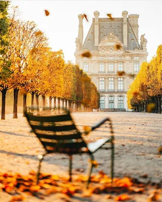Осень в Париже. | Пикабу