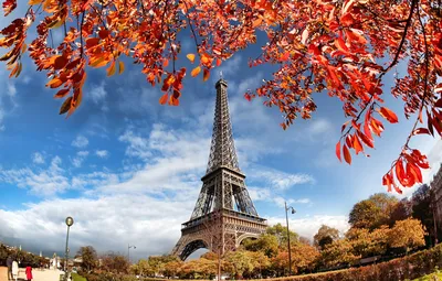 Обои осень, Франция, Париж, Paris, river, France, autumn, leaves, Eiffel  Tower, cityscape картинки на рабочий стол, раздел город - скачать