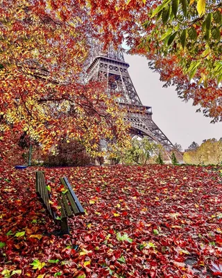 Осенний Париж - фото и картинки: 41 штук