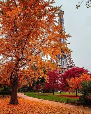 Осень в париже фото