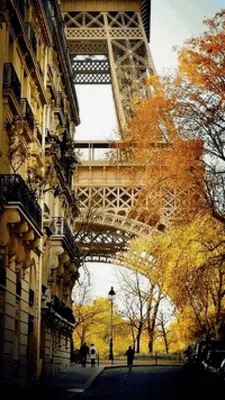 Предпросмотр схемы вышивки «Осень в Париже» (№2081301) - Вышивка крестом